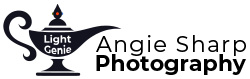 Angie Sharp Photography photography Exeter 